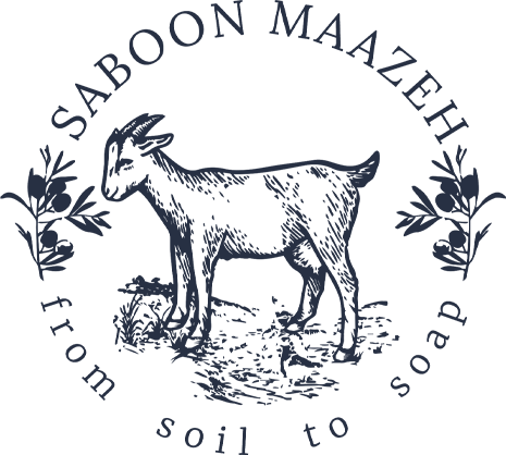 Saboon